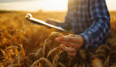 man_walking_in_the_farm